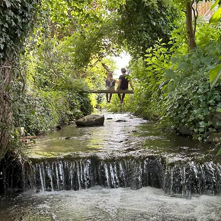 Haus Am Kraehenbach Apartmán *