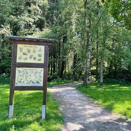 Komfort-fewo Mit Infrarotsauna & Wlan Nahe Sorpesee - Haus Am Kraehenbach - Steinert * Sundern